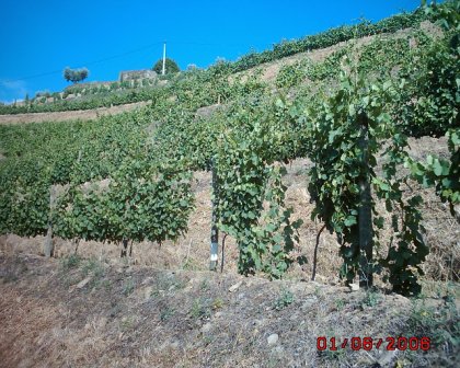 Douro